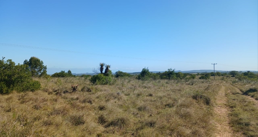 Commercial Property for Sale in Bathurst Rural Eastern Cape